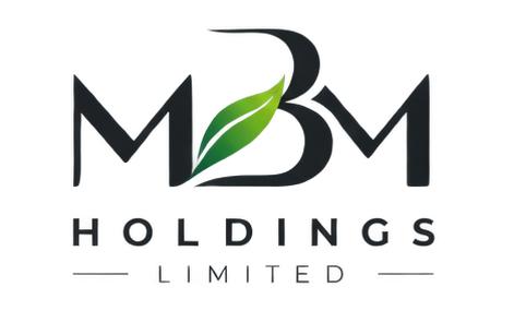 MBM Holdings Limited